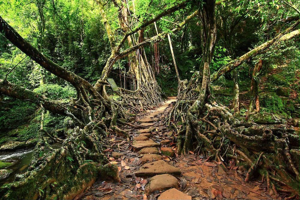 Sustainable Growth: Meghalaya Shifts Focus to High-Value, Low-Volume Tourism Model